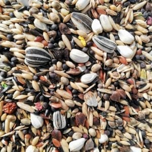 Close up image of bird seed suitable for Bullfinch and Greenfinch Birds