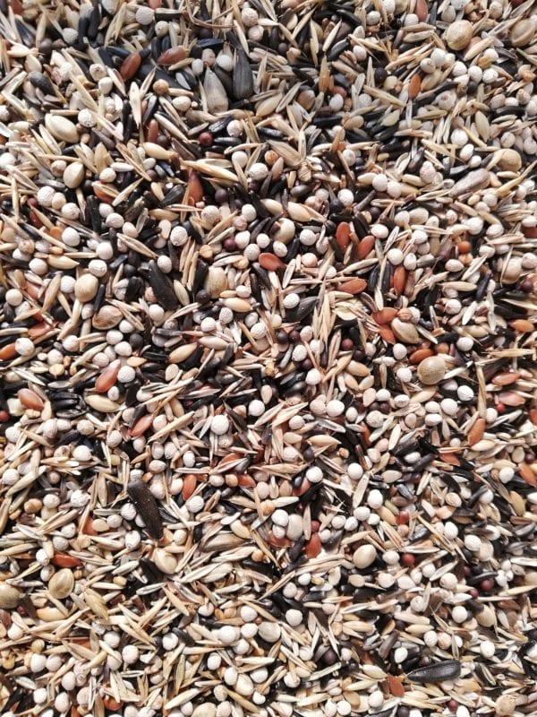 Close up image of bird seed called Siskin mix suitable for Goldfinch Birds