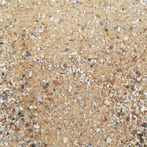 BROWN SAND WITH SHELLS