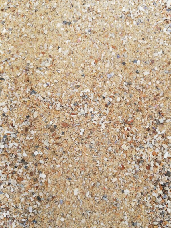 BROWN SAND WITH SHELLS