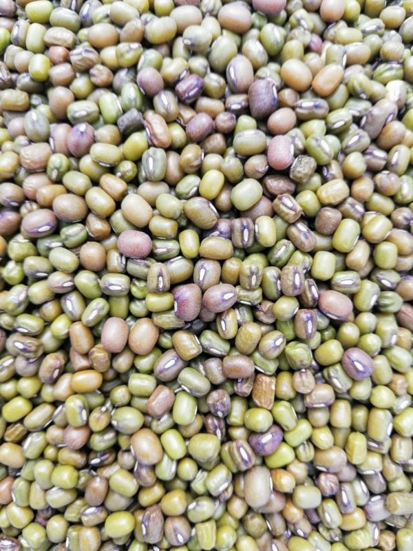 Mung Beans especially for Birds