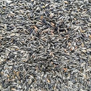 Niger Bird Seed