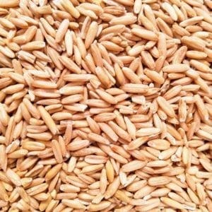 Oat Groats or Peeled Oats for Birds