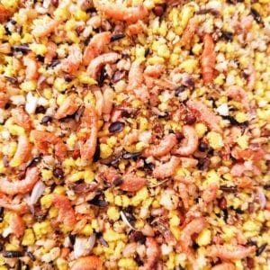 Egg Food for Birds which includes shrimp mixed by top breeders in belgium