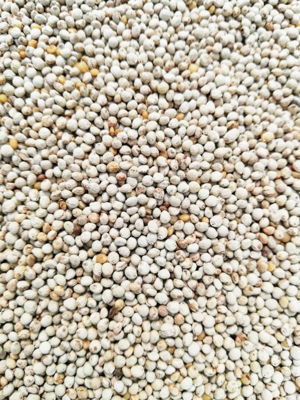 White Perilla Seed suitable for Birds