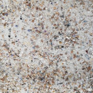 white sand with oyster shells