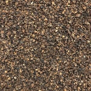 Chrysanthemum Seed