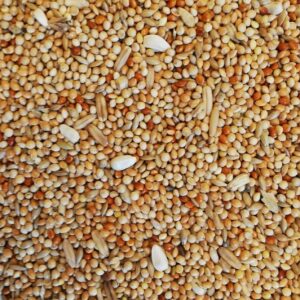 budgie seed mix