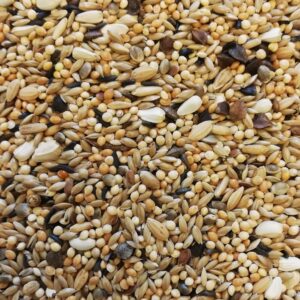 close up picture of lovebird seed mix