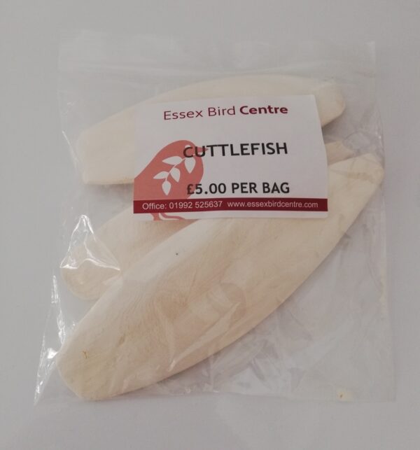 3 cuttlefish bones in a bag