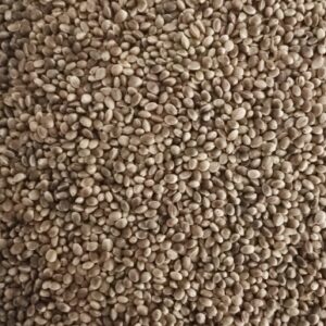 Hemp small seeds
