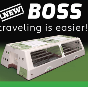 bird travel cage for air freight