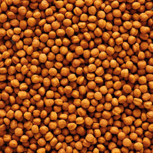 Nutribird F16 bird food pellets