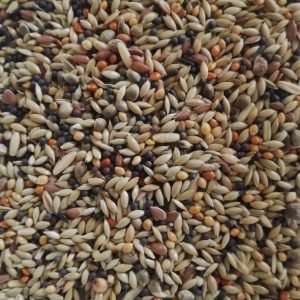 EBC Chaffinch Bird seed