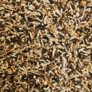 EBC Hooded Siskin Bird Mix